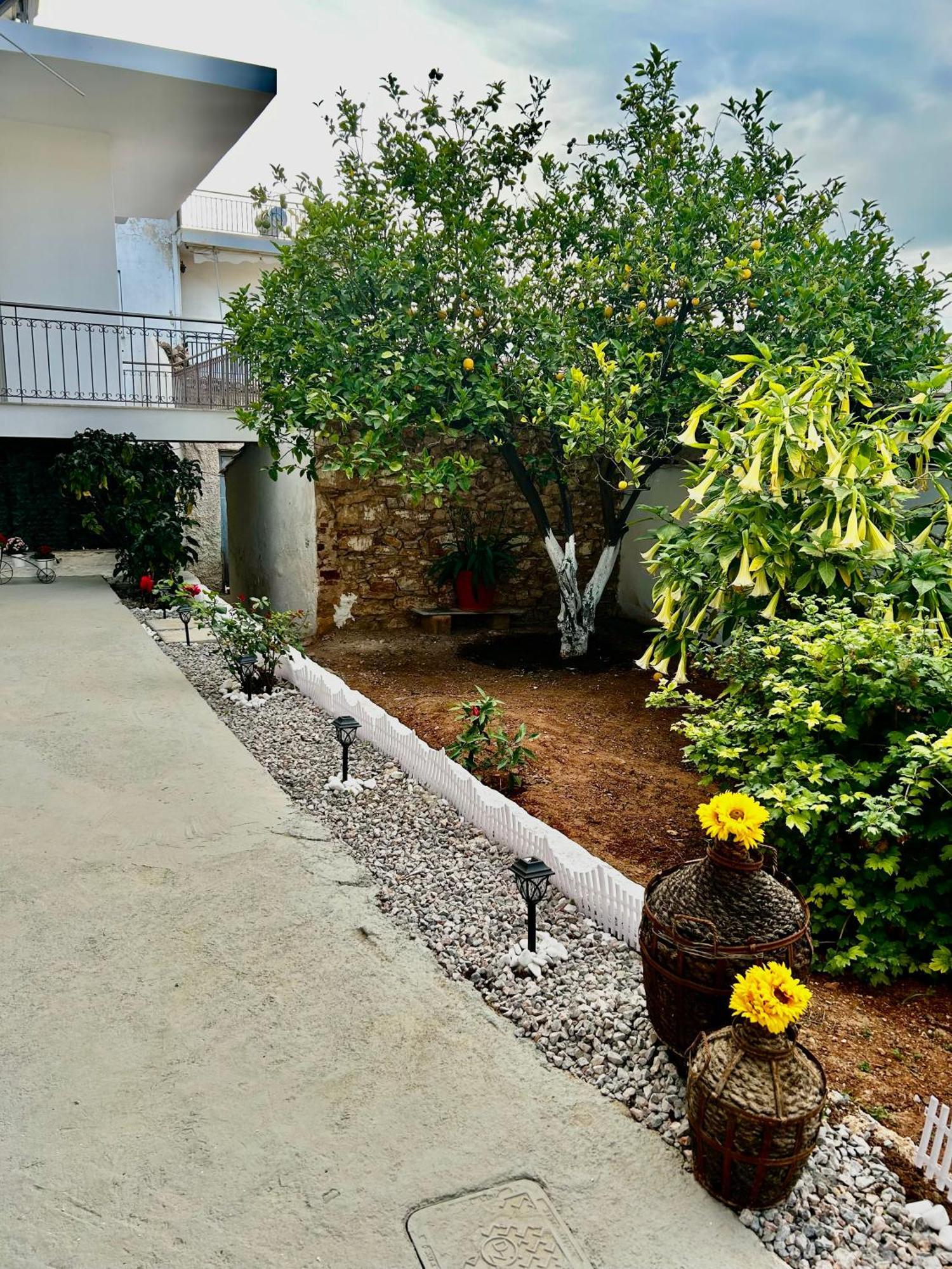 Flower House In Koropi-Near Airport Dış mekan fotoğraf